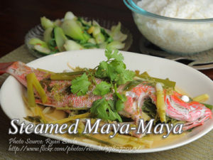 Steamed Maya Maya